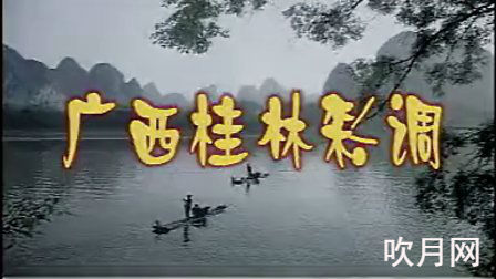 广西彩调剧大全集