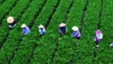 视频歌曲音画欣赏