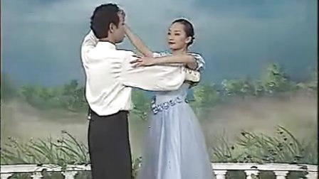 中老年交谊舞教学大全