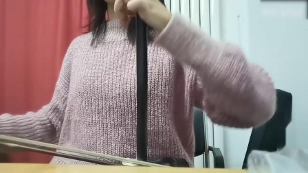 二胡流行金曲100首