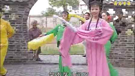 庐剧吴南野视频全集