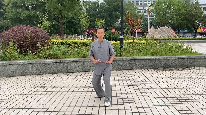 太极拳教学演练名师大全