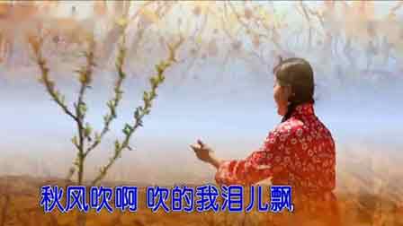 半音阶口琴数码口琴演奏大全