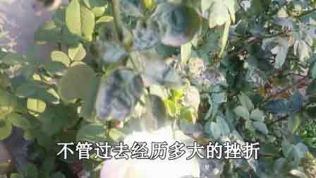 好听的笛子独奏曲90首
