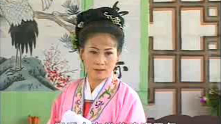 安徽庐剧名家名段大全集