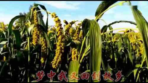 笛子独奏曲名曲大全欣赏
