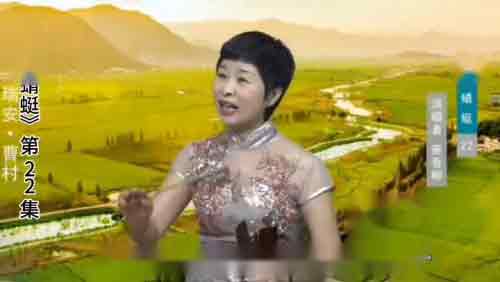 温州鼓词蔡香柳演唱视频播放