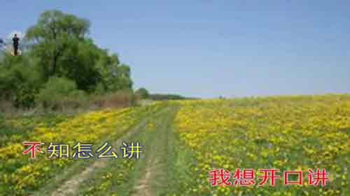 笛子独奏经典老歌200首